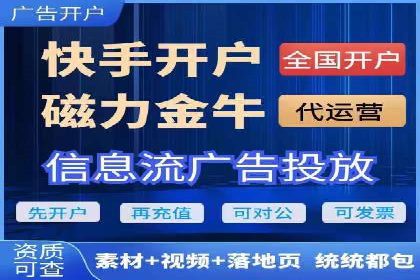 SEM广告投放的技巧与策略——成功案例分享